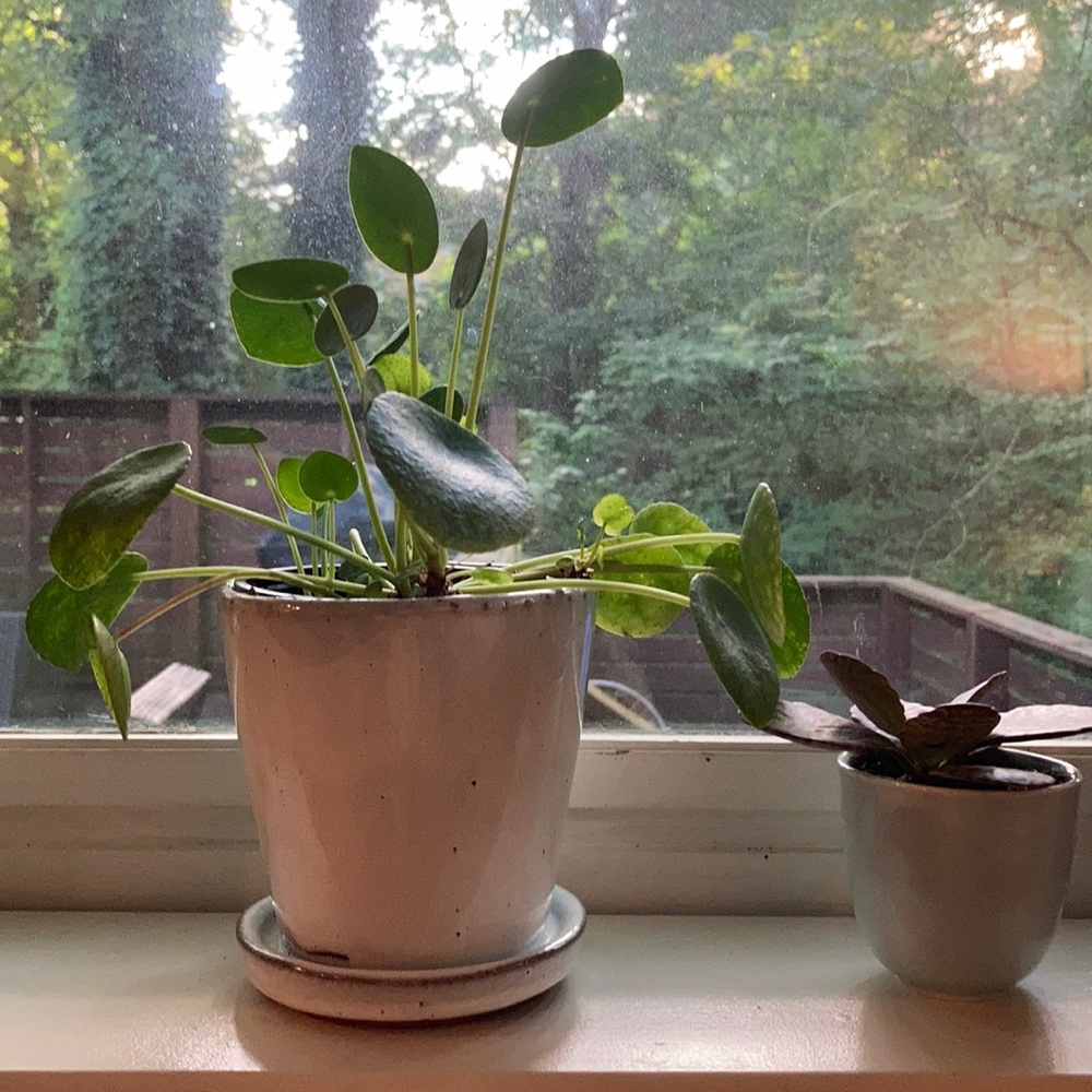 Meet your Posher, Sabina